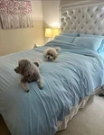 Rest Evercool Flat Sheet Only King Size, Breathable Luxury Bedding Open Box. Fixed Price $74.99.