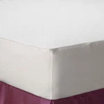 Allerease Bed Bug Mattress Cover, 1 Each. Fixed Price $20.95.