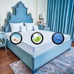 A+ Bed Bug Proof Encasement Protect Soft Luxury Zipper All Mattresses Or Pillow. Fixed Price $17.59.