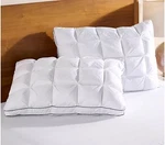 Home Reflections Set Of 2 Comfort Cushion Pillows Standard Queen Qvc. Fixed Price $49.99.