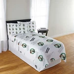Nba Officially Licenced Boston Celtics Sheet Set. Fixed Price $46.99.