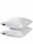 Basic Home 26X26 Euro Throw Pillow Inserts-down Feather Inserts-cotton. Fixed Price $45.00.