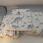 Pottery Barn Kids Organic Cotton Twin Sheet Set Dinosaur Bone Glow Fitted Flat. Fixed Price $32.99.