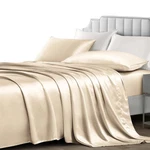 Nsgz 3 Pieces Satin Twin Xl, Silky Bed Set With 1 Fitted S.... Fixed Price $19.43.