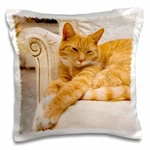 3DROSE Happy Orange Tabby Cat Relaxing On Fancy Armchair 16X16 Inch Pillow Case. Fixed Price $13.99.