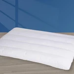 Minupwell Ultra Flat Pillows For Sleeping Thin, 7D High Support 2.5 Inch Heig.... Fixed Price $38.43.