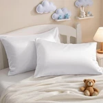 Ntbay Egyptian Cotton Toddler Pillowcases - Set 13X18 Inch (pack Of 2), White. Fixed Price $23.23.