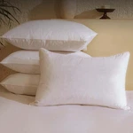 Bhz Goose Down Feather Pillows Standard Size Set Of 4 Pack, Luxury Hotel Alte.... Fixed Price $108.39.