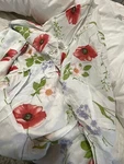 Cuddledown Italy Nwt 1PC King Fitted Sheet 100% Cotton Voile Print 15 Last. Fixed Price $159.00.