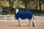 Kensington Poly Cotton Stable Sheet Surefit 75'' Navy. Fixed Price $93.85.
