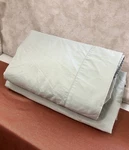 My Pillow Sage Green 100% Giza Egyptian Cotton Sheets Queen No Cases. Fixed Price $16.98.