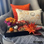 Decorative Orange Lumbar Pillow Cover, Jacquard Fabric - Pumpkin Pal. Fixed Price $38.73.