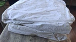 Lauren Ralph 100% Cotton Queen Sized Sheet Set Arrows 4PC. Fixed Price $85.00.