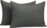 Ntbay Zippered Toddler Pillowcases Set 2, 100% Brushed Microfiber 13X18. Fixed Price $22.99.