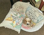Vintage American Thread Dog Throw Pillow Covers- Lot Of 3. Fixed Price $65.00.