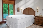 Dreamfit Microfiber Stadry Waterproof Mattress & Pillow Protector. Fixed Price $39.94.
