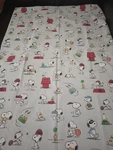 Pottery Barn Kids Blue Peanuts Snoopy Toddler Duvet Cover 36 X 50 Organic Cotton. Fixed Price $29.99.