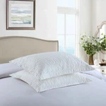 Marcielo 2 Pieces Embroidered Pillow Shams King Size. Fixed Price $20.99.