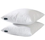 Basic Home 26X26 Euro Throw Pillow Inserts-down Feather Inserts-cotton. Fixed Price $49.08.