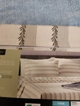 Cuddl Duds Microfiber Twin Sheet Set Bag Leafy Stripe Cream Green Nip. Fixed Price $25.00.