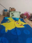 Pokemon Pikachu Pillow Case 2017 Northwest Co. Guc. Fixed Price $11.99.