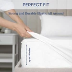 Celeste Home Cotton Flannel Sheet Set. Fixed Price $29.69.