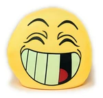 Squishy Microbead Happy Face Crazy Love Emoji Smiley Throw Pillow Gift. Fixed Price $27.61.