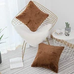 Brown Throw Pillows For Couch Plush Faux Fur Cover Warm Square. Fixed Price $21.25.