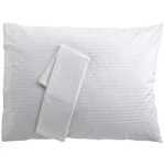 Set Of Two Oversized Pillow Case - Cover 100% Egyptian Cotton, 340 Thread C.... Fixed Price $59.04.