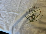 Vintage Fieldcrest Percale Perfection Twin Sheet Set Flat Fitted Pillowcase. Fixed Price $22.99.