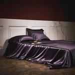 Mulberry Silk 100% Bed Sheet Set With Two Pillow Covers & Luxurious Feeling. Fixed Price $120.00.