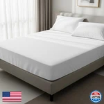 Pizuna Pure 100 Cotton Queen Fitted Sheet Only 600 Thread Count Long Staple. Fixed Price $17.50.