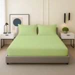 Rajlinen Queen Sheets Set 100 Soft Microfiber 3 Piece Fitted And. Fixed Price $25.57.