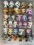 Littlest Pet Shop *you Pick* #1 Poodles, Sheep Dogs, Chows, Yorkie Lps. Fixed Price $7.00.