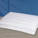 Minupwell Packs Ultra Flat Pillows For Sleeping Thin, 7D High Support 2.5 .... Fixed Price $69.31.