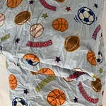 Dyr Do Your Room Theme Sheet Set Twin Size Kids Teen Sports Balls 'as Is'. Fixed Price $22.00.