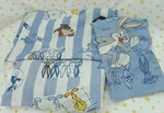 Warner Bros. Taz Tweety Twin Sheet Set Flat/fitted & Case Looney Tunes 90S Vtg. Fixed Price $25.49.