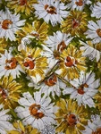 70 Bonnie Twin Fitted Sheet And 2 Pillowcases Pn Hirsch Daisies. Fixed Price $24.99.