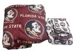 Northwest Florida State Seminoles Reversible Comforter And Sheet Set Read. Fixed Price $25.00.