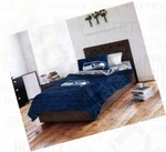 Seattle Seahawks Bedding Set Queen Nfl Football Pillow Blue Superbowl Hd Tv. Fixed Price $165.31.