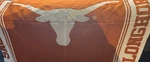 College Pillow Cases University Of Texas Longhorns Linens 30 X20 Queen Size. Fixed Price $12.99.