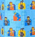 2 Lego Warner Bros Franco Movie Twin Flat Sheets Cotton Blend Multicolored Vgv. Fixed Price $80.00.