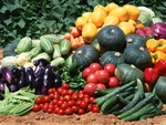 Wholesale Vegetable Seed Cache 190 Heirloom Varieties Garden/storage Non Gmo. Fixed Price $169.99.