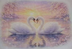 Swans Heart Sunset Pillowcase Bedroom Decor Standard. Fixed Price $9.99.