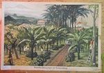 Old Wall Chart German Plants At Mount Cameroon Fako 92X64 1941 Vintage. Fixed Price $238.88.