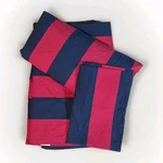 Pottery Barn Teen Rugby Stripe Xl Twin Sheet Set Red Blue Nautical Preppy Dorm. Fixed Price $37.25.