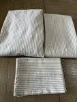 Pottery Barn Teen Boxter Organic 3 Piece Sheet Set Xl Twin Ivory Latte. Fixed Price $45.00.