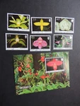 2004 Jersey Orchids Set & Miniature Sheet SG1143-9 Fine Used. Fixed Price $5.37.