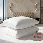Beautyrest Goose Feather Down Fiber Gusseted Pillows, Firm Queen Size Of 2. Fixed Price $71.49.