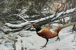 Charlotte Edwards - Pheasant Winter Cover S/n Lithograph Signed Mint. Fixed Price $125.00.